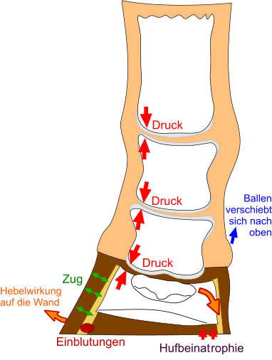 Schiefhuf_Schaeden_2_96dpi_L.png